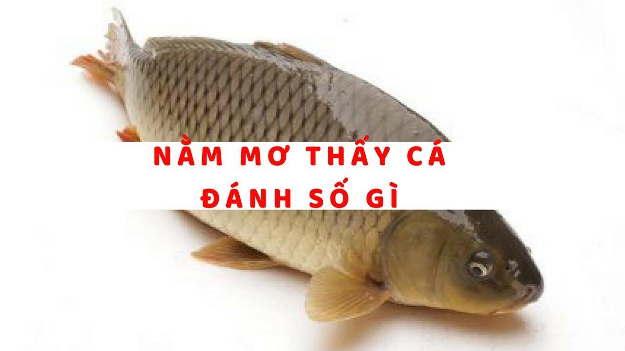 Mơ thấy chúng đánh con gì?