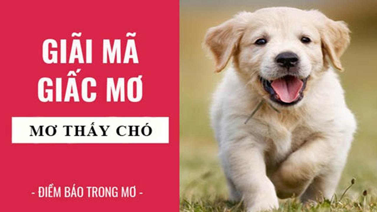 Mơ thấy chó con