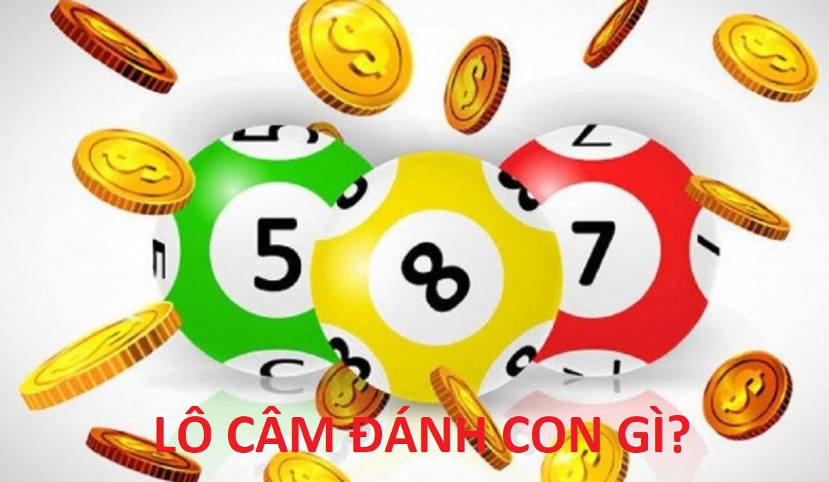 Cách cách lô câm chính xác