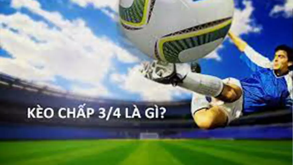 Chấp 1 4 trái là sao